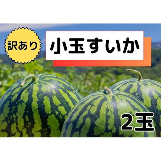 先行予約【わけあり品】八色原すいか小玉２玉 | すいか