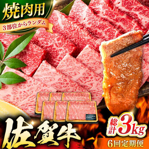 【6回定期便】佐賀牛 焼肉用 計3kg (500g×6回)  ※バラ・肩ロース・モモのいずれかの部位※しゃぶしゃぶ すきやき[FDB034]