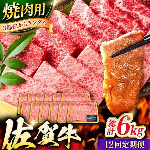 【12回定期便】佐賀牛 焼肉用 計6kg (500g×12回)  ※バラ・肩ロース・モモのいずれの部位※ しゃぶしゃぶ すきやき[FDB035]