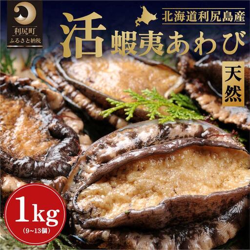 【2026年発送受付】活アワビ1kg（9～13個） 天然蝦夷アワビ 北海道利尻島産【10月下旬～12月下旬発送】