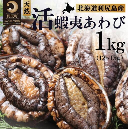 【10～12月発送受付】活アワビ 1kg 天然蝦夷あわび 利尻島産【期間限定】利尻昆布を食べて育った美味しいあわび [1060001]