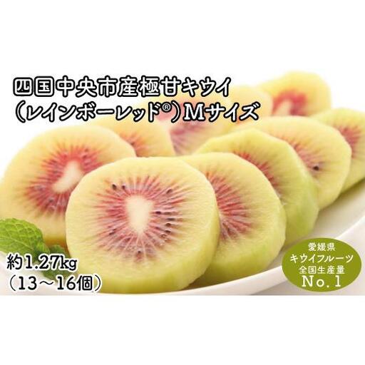 ＜10月下旬以降発送＞【ぽぽ農園】レインボーレッドキウイ（四国中央市産レインボーレッド） M サイズ 約1.27kg（13個～16個）