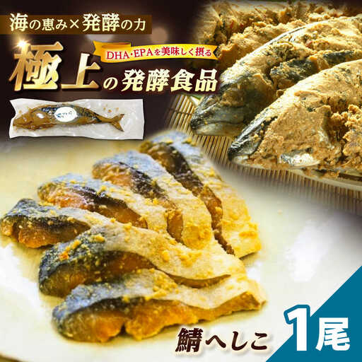 【自家製】 鯖へしこ 1尾 小浜市 / 朽木屋 [BFCM001]