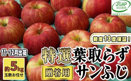11〜12月発送[ 糖度保証 ] 贈答用 葉取らず サンふじ 約 5kg [ 特選 ]鶴翔りんごGAP部会 青森県産 津軽産 リンゴ 林檎 果物類 高糖度 ギフト