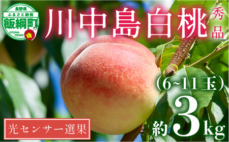 [ 2026年 先行予約 ] 桃 川中島白桃 3kg 秀品 光センサー選別品 糖度保証 [ 予約 果物 くだもの もも モモ フルーツ 旬 長野 信州 川中島 ] 沖縄県への配送不可 2026年8月下旬頃から9月上旬頃まで順次発送予定 日時指定不可 令和8年度出荷分 長野県 飯綱町 [1718]