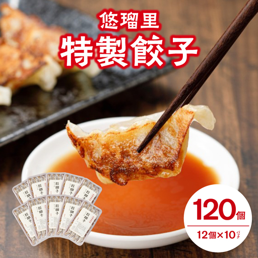悠瑠里特製餃子120個 餃子 ぎょうざ 惣菜
