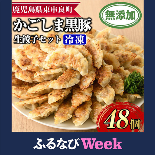 【ふるなびWEEK対象】鹿児島黒豚 餃子 48個 鹿児島ますや 0125145a