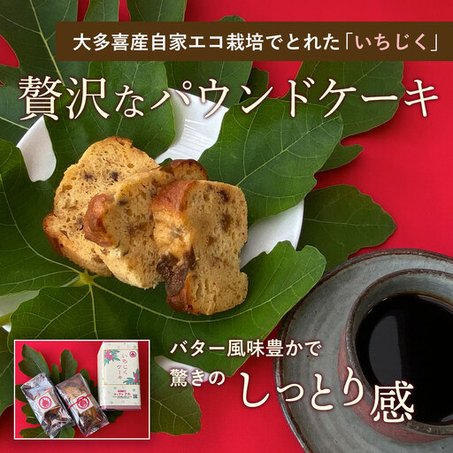 W01301 いちじくケーキ2本セット