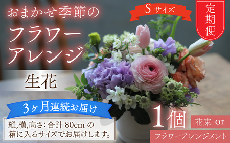 [定期便3回]おまかせ季節のフラワーアレンジ(生花)Sサイズ ×3ヶ月[母の日申込期日:4/26(日)まで][母の日発送予定日:〜5/11(月)まで]お好み、着日指定可能 [C-036001]