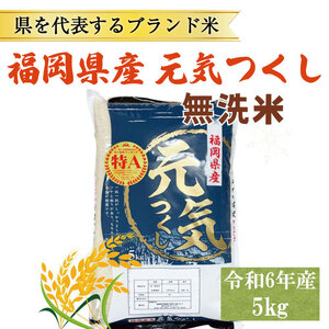 【ふるさと納税】令和8年産 福岡県産 ブランド米「元気つくし」無洗米 5kg [a6256] 株式会社 ゼロプラス 【返礼品】添田町 ふるさと納税