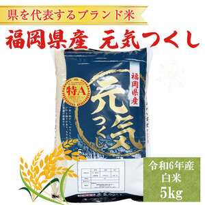 【ふるさと納税】令和8年産 福岡県産 ブランド米「元気つくし」白米 5kg [a6255] 株式会社 ゼロプラス 【返礼品】添田町 ふるさと納税