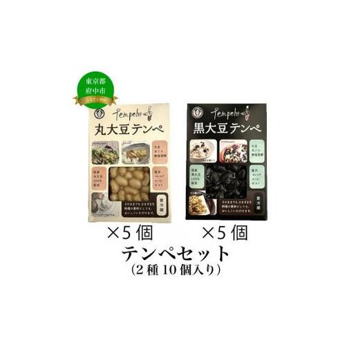 テンペセット（2種10個入り）