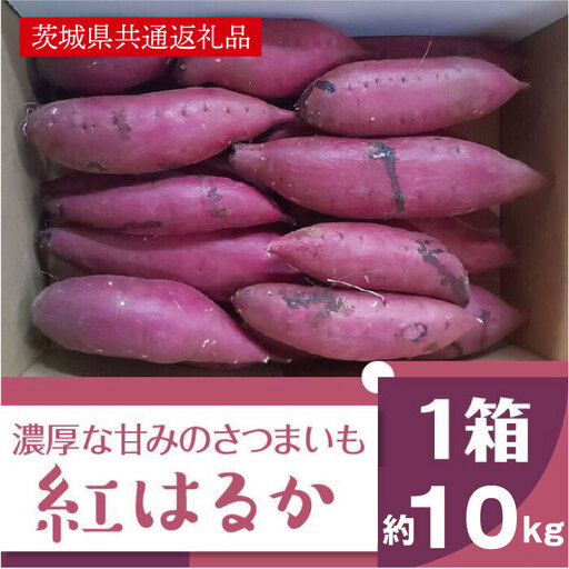 【先行予約】【11月より順次発送】2026年度産 濃厚な甘みさつまいも 紅はるか10kg【茨城県共通返礼品/行方市】【さつまいも サツマイモ 芋 お芋 甘い ねっとり 美味しい 大量 茨城県 北茨城市 】(AK202)