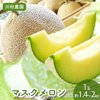 【静岡・三保松原の甘い誘惑マスクメロン】甘さあふれる！マスクメロン 1玉（約1.4kg～2kgサイズ）■