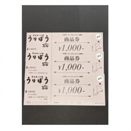 うりぼう商品券 3000円分【1271265】