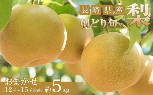 長崎県産 朝どり 旬の梨 おまかせ 約5kg（12玉～15玉前後）