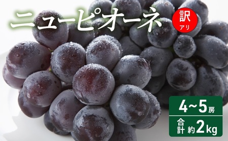 訳あり ぶどう ニューピオーネ 4〜5房 合計 約2kg 岡山県 高梁市産 2026年 先行予約 常温 フルーツ 葡萄 ブドウ 種無し 産地直送 大粒 爽やか 食べやすい