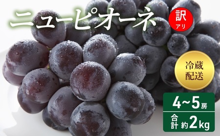 訳あり ぶどう ニューピオーネ 4〜5房 合計 約2kg 岡山県 高梁市産 2026年 先行予約 クール便 冷蔵 フルーツ 葡萄 ブドウ 種無し 産地直送 大粒 爽やか 食べやすい