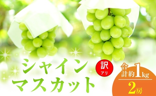 訳あり シャインマスカット 2房 合計 約1kg 岡山県 高梁市産 2026年 先行予約 常温 ぶどう フルーツ 葡萄 ブドウ 皮ごと 産地直送 大粒 爽やか 食べやすい
