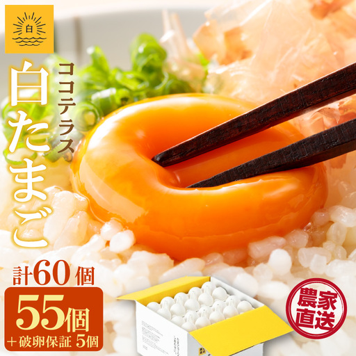 ココテラスの朝日（白たまご）55個 + 5個保証（計60個）【JGAP認証】 農家直送 新鮮 卵 タマゴ 白卵 玉子 鶏卵 朝食 夕食 夜食 朝ごはん たまご焼き だし巻き卵 オムレツ 卵ご飯 料理 濃厚 飼料にこだわった 卵かけご飯 米たまご 生卵 大容量 お取り寄せ 愛知県 常滑市