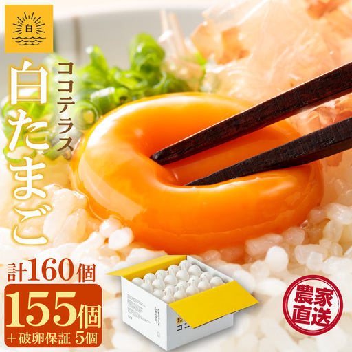 ココテラスの朝日（白たまご）155個 + 5個保証（計160個）【JGAP認証】 農家直送 新鮮 卵 タマゴ 白卵 玉子 鶏卵 朝食 夕食 夜食 朝ごはん たまご焼き だし巻き卵 オムレツ 卵ご飯 料理 濃厚 飼料にこだわった 卵かけご飯 米たまご 生卵 大容量 お取り寄せ 愛知県 常滑市