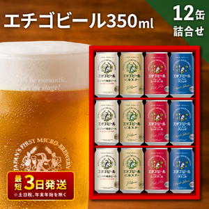 エチゴビール クラフトビール 12本 セット クラフトビール