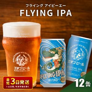 最短3日発送 クラフトビール IPA 12本 セット クラフトビール