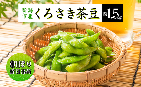 【8月中旬～9月中旬お届け】枝豆 黒埼茶豆 1.5㎏ 枝豆