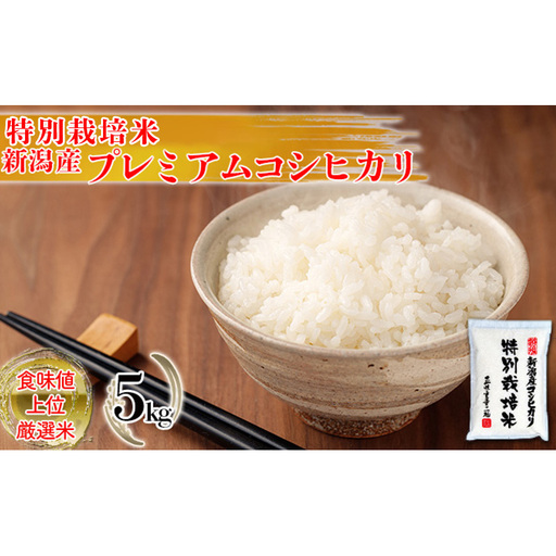 コシヒカリ 特別栽培米 5kg 新潟県産 こしひかり
