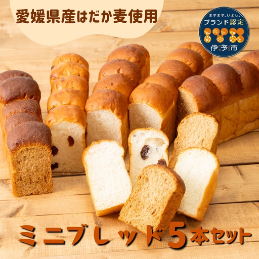 食パン 無添加 5本 六山 篠崎ベーカリー ミニサイズ 伊予市 老舗 ミニブレッド | B166