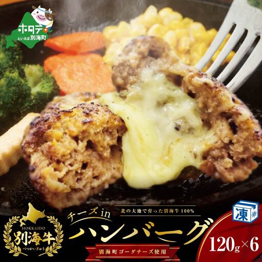 別海牛100%と別海町ゴーダチーズチーズがとろける!チーズインハンバーグ (120g×6個)【ND0000085】北海道 ハンバーグ 別海町