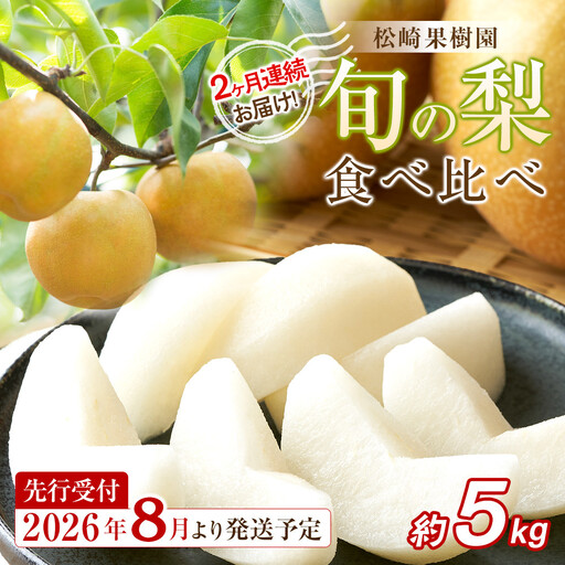 [2026年発送/先行予約]2ヶ月連続お届け 旬の梨 食べ比べ 約5kg[松崎果樹園] | 梨 定期便