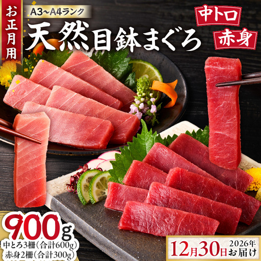 【 お正月用 F 】 天然目鉢鮪 中とろ 3柵 ・ 赤身 2柵 ＜ A3 ～ A4 ランク ＞ （ 2026年12月30日にお届け ） M005-053-03 冷凍 マグロ
