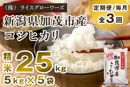 【令和8年産新米先行予約】【定期便3回毎月お届け】新潟県 加茂市産コシヒカリ 精米25kg（5kg×5）《10月上旬～順次出荷》 （株）ライスグローワーズ