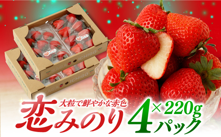 【先行予約 2027年1月～発送】恋みのり 220g×4パック いちご