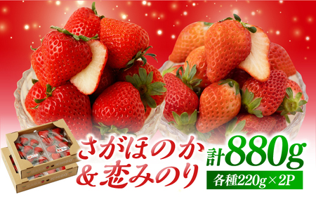 【先行予約 2027年1月以降発送】恋みのり＆さがほのか 計880g（各種220g×2パック）詰め合わせ / いちご [IBH011]