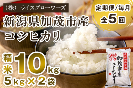【令和8年産新米先行予約】【定期便5ヶ月毎月お届け】新潟県加茂市産コシヒカリ 精米10kg（5kg×2）《10月上旬～順次出荷》 白米 （株）ライスグローワーズ