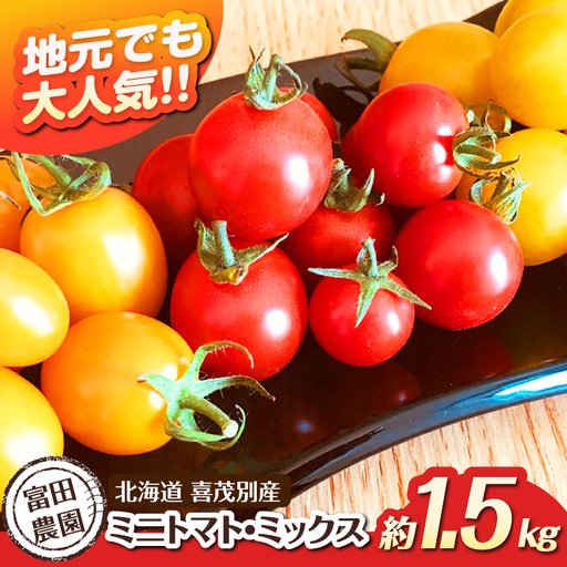 ミニトマト 約1.5kg [AJAJ007] トマト 北海道
