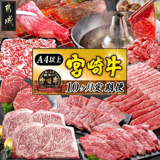 宮崎牛定期便(10ヶ月)〔T120(10)-0103〕_(都城市) 宮崎牛 A5 10ヶ月定期便 赤身 バラ ロース スライス 焼肉用 切り落とし サーロインステーキ