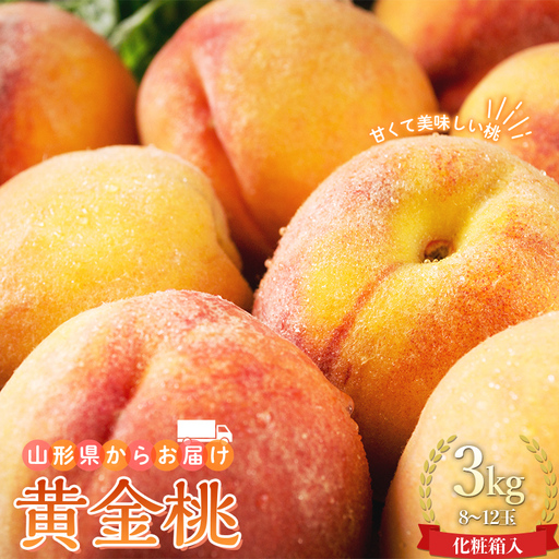 山形県産 黄金桃 3kg 8～12玉 もも モモ 桃 デザート フルーツ 果物 くだもの 果実 食品 山形県 FSY-0741