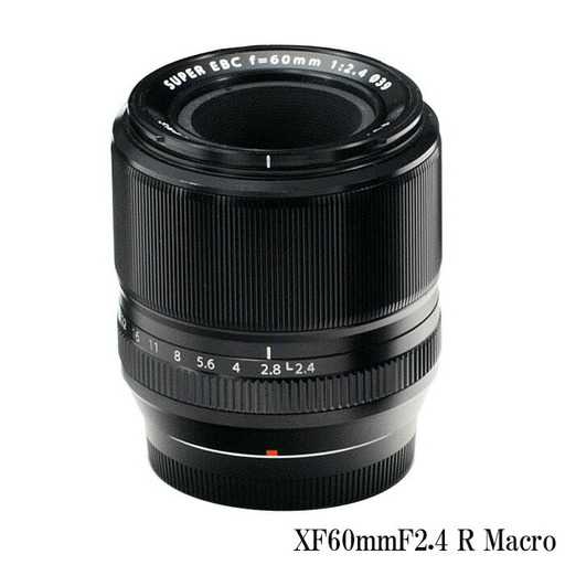 ※おひとり様1点限り※ 富士フイルム レンズ XF60mmF2.4 R Macro カメラ 単焦点 中望遠 マクロ APS-C ミラーレス Xマウント FUJIFILM フジノンレンズ[富士フイルムイメージングシステムズ株式会社]ta342