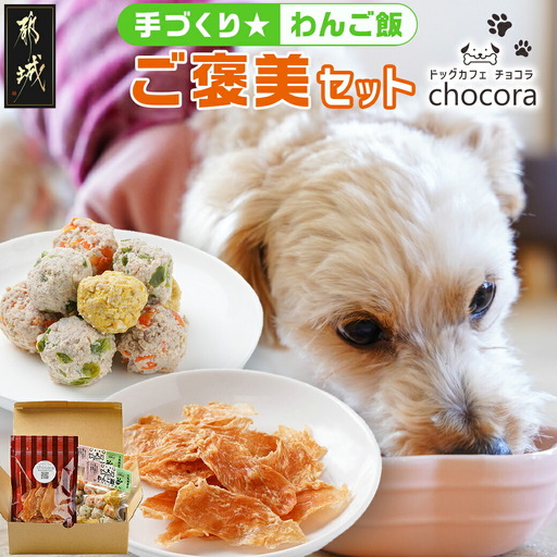 手づくり☆わんご飯「ご褒美セット」〔AA-J501〕_(都城市) わんちゃん用 手づくり 無添加 保存料無し 安心 安全 三色肉団子 ジャーキー 