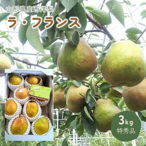 西洋梨（ラ・フランス）３ｋｇ　特秀品　0044-2605