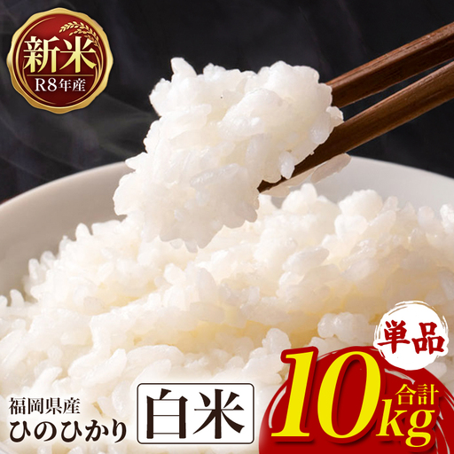 ひのひかり 米 お米 白米 10kg 令和8年産 新米 【JA福岡くるめ にじの耳納の里】 A01-011-PD03-10