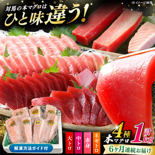 【全6回定期便】対馬産 本マグロ 4種 計1kg（赤身/中トロ/大トロ/ネギトロ） [WAH007] マグロ 本マグロ トロ 赤身 ネギトロ