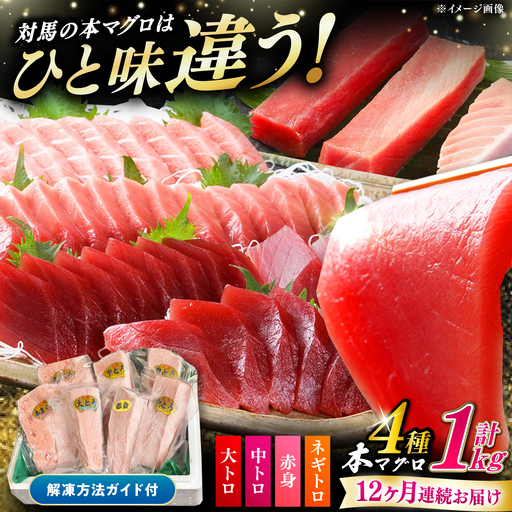 【全12回定期便】対馬産 本マグロ 4種 計1kg（赤身 中トロ 大トロ ネギトロ） [WAH008] マグロ まぐろ 本まぐろ トロ 定期便