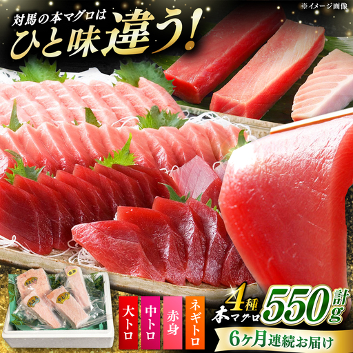 [全6回定期便]対馬産 本マグロ 4種 計550g(赤身/中トロ/大トロ/ネギトロ) [WAH016] マグロ まぐろ 本マグロ トロ 赤身 ネギトロ たたき