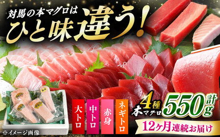 【全12回定期便】対馬産 本マグロ 4種 計550g（赤身/中トロ/大トロ/ネギトロ） [WAH017] マグロ まぐろ 本マグロ トロ 赤身 ネギトロ