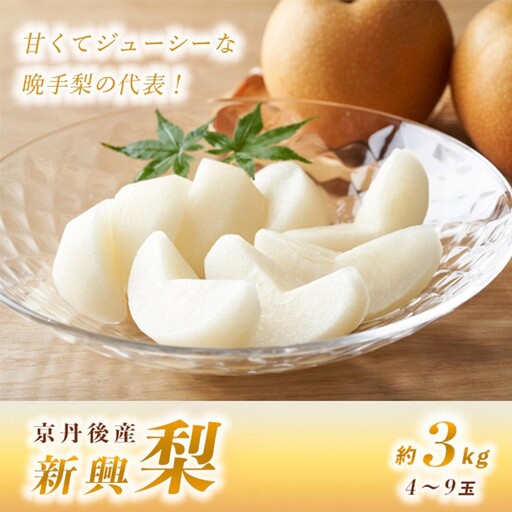 【先行予約】甘～ぃ！ジューシー！！晩生梨の代表 京丹後産 新興梨 3kg（4～9玉）（2026年9月下旬～発送）