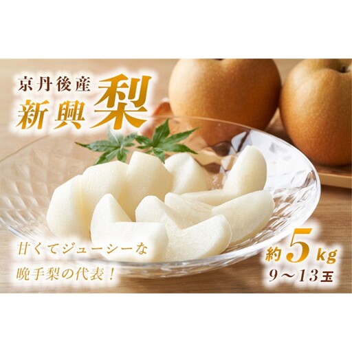 梨/新興梨[先行予約]甘〜ぃ!ジューシー!!晩生梨の代表 京丹後産 新興梨 5kg(9〜13玉)(2026年9月下旬〜発送) 梨 なし ナシ 新興梨 5キロ 予約 果物 くだもの フルーツ 期間限定 国産
